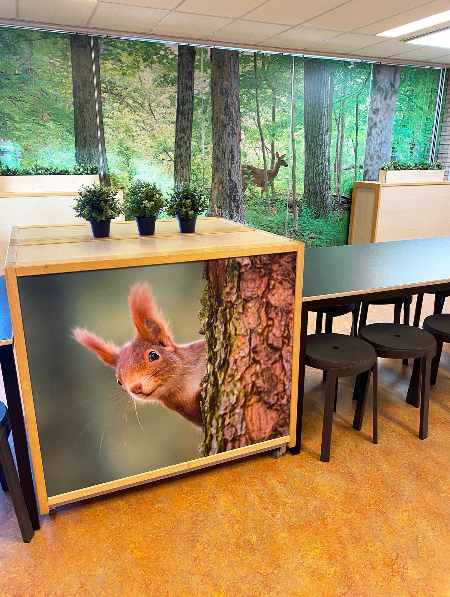 Basisschool de schakel en BSO Staatsliedjes