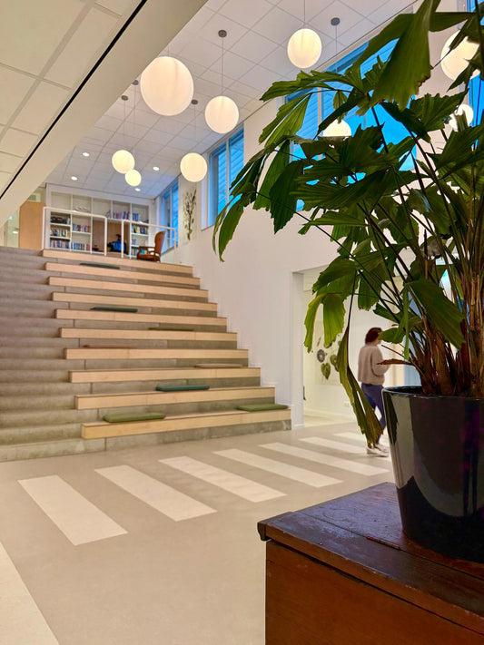 Nicolaas Beetsschool 8